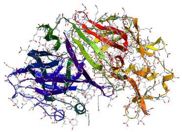 pepsin