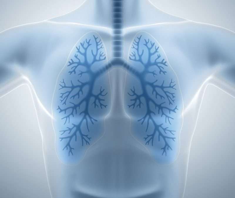 Bronchial reacutization airways