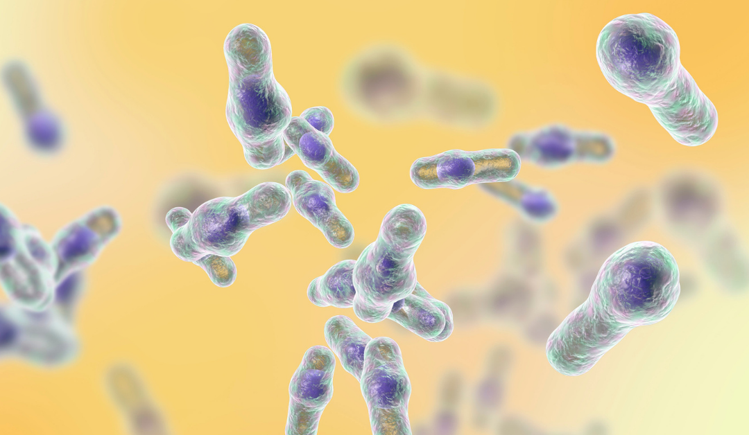 Clostridium difficile