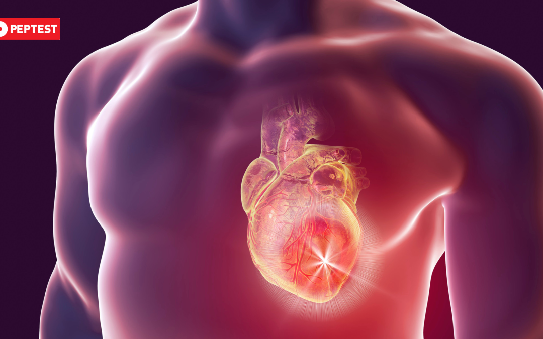 cardiovascular