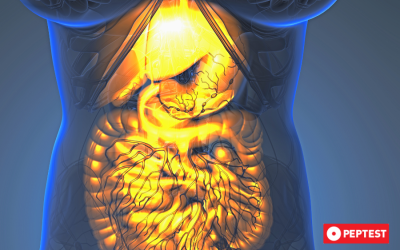 What Is the Pylorus and How Does It Relate to Reflux?